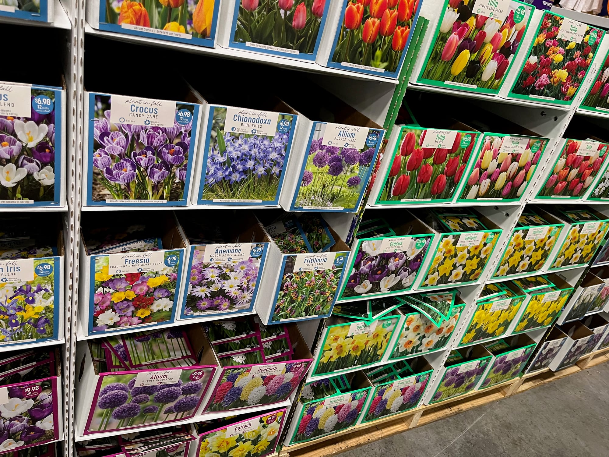 Attack of the Big Box Bulbs